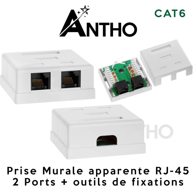 Prise Murale RJ-45 Apparente ANTHO - 2 Ports - RJ45 - CAT 6 - Blanc