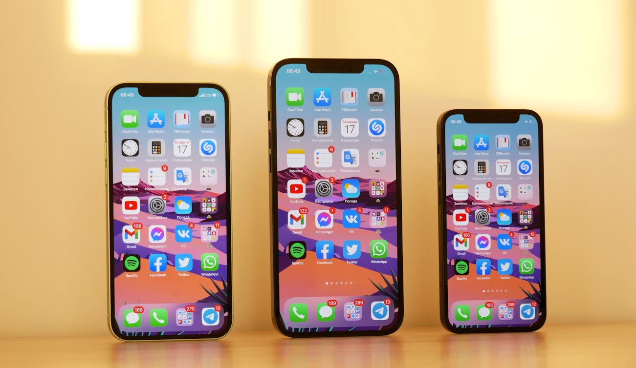 IPhone 12 - Quasi Neuf - 128 GB + Chargeur + Antichoc + Fourreau