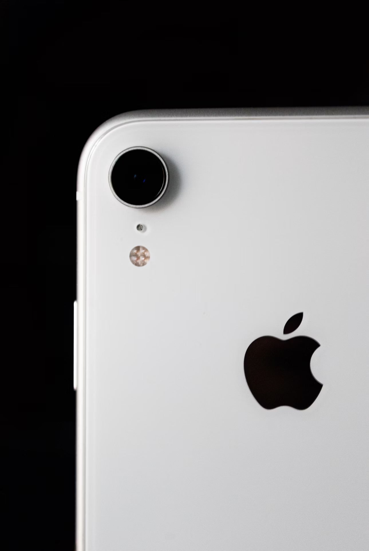 IPhone Xr - Quasi Neuf - 64 GB + Chargeur + Antichoc + Fourreau