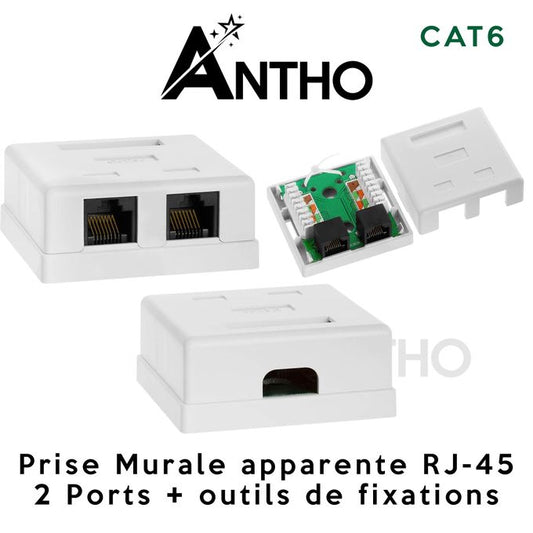 Prise Murale RJ-45 Apparente  ANTHO - 2 Ports - RJ45 - CAT 6 - Blanc
