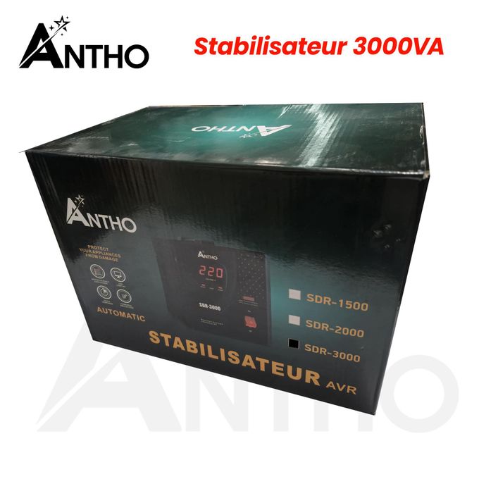 ANTHO Stabilisateur 3000VA - 3000 VA - SDR-3000 - Prise FR