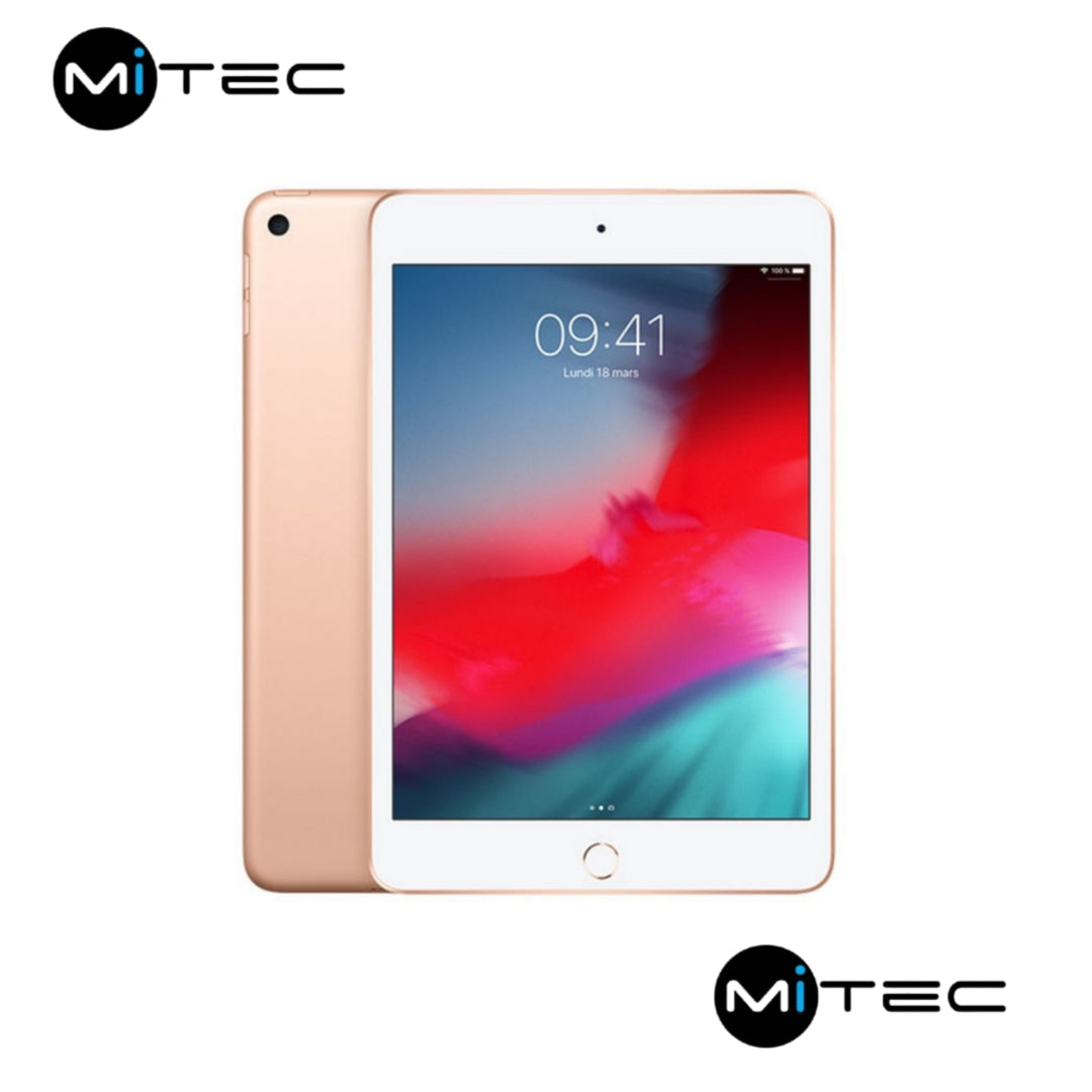 iPad mini 5 Quasi Neuf - 64 GB